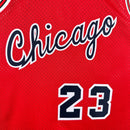 Regata Chicago Bulls Michael Jordan 2003/04 - Hardwood Classics