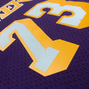 Regata Los Angeles Lakers Dennis Rodman Roxa 1998/99 - Harwood Classics
