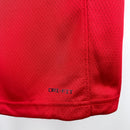 Regata Toronto Raptors Vermelha Swingman 2021/22 - Icon Edition