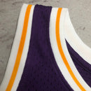 Regata Los Angeles Lakers Dennis Rodman Roxa 1998/99 - Harwood Classics