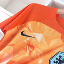 Camisa Edição Especial Holanda 2024 Torcedor - Masculina