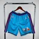 Bermuda Charlotte Hornets Teal 2023/24 Swingman - Classic Edition