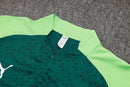 Agasalho Treino Palmeiras Fleece Verde 2024/25