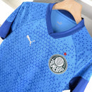 Camisa treino Palmeiras 2024/25 - Masculina